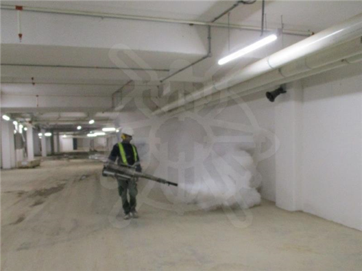 Fogging for adult mosquitoes