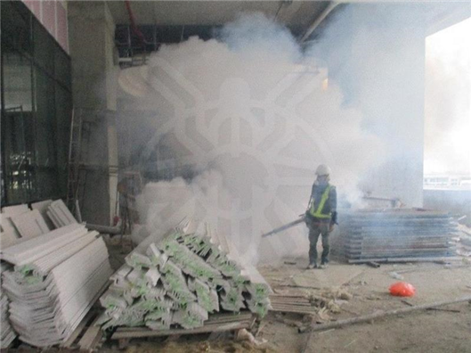 Fogging for adult mosquitoes