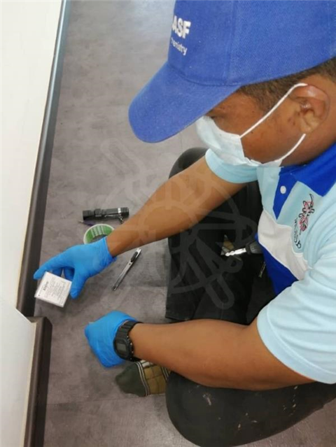 Termite Baiting System